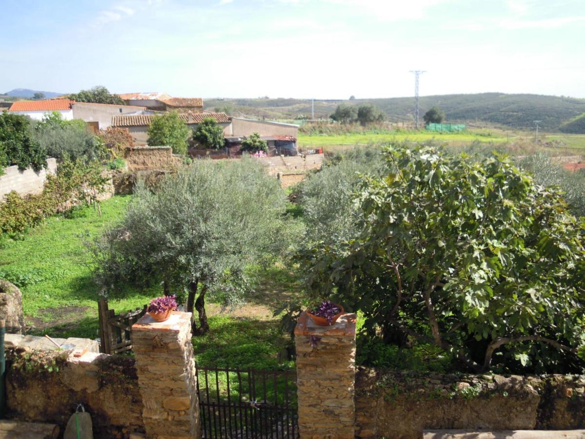 Cañaveral 卡纳维拉尔旅舍旅舍 外观 照片